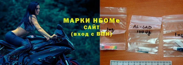сатива Верея