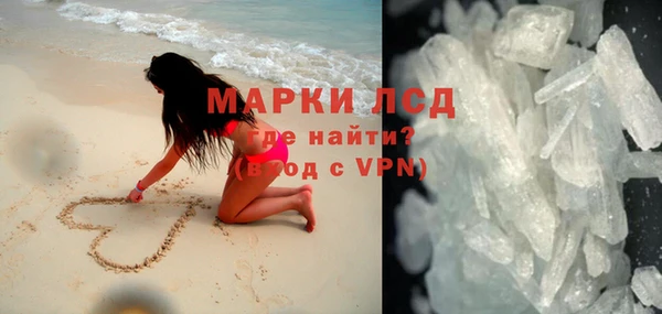 сатива Верея