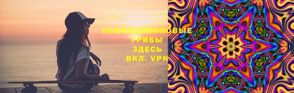 сатива Верея