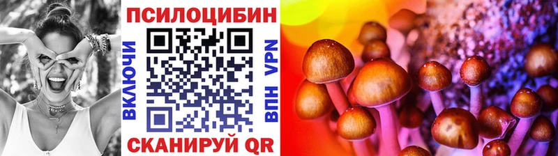 KRAKEN онион  Сретенск  Псилоцибиновые грибы MAGIC MUSHROOMS 