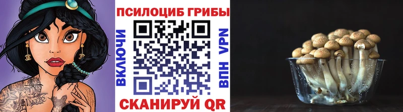Псилоцибиновые грибы мицелий Сретенск